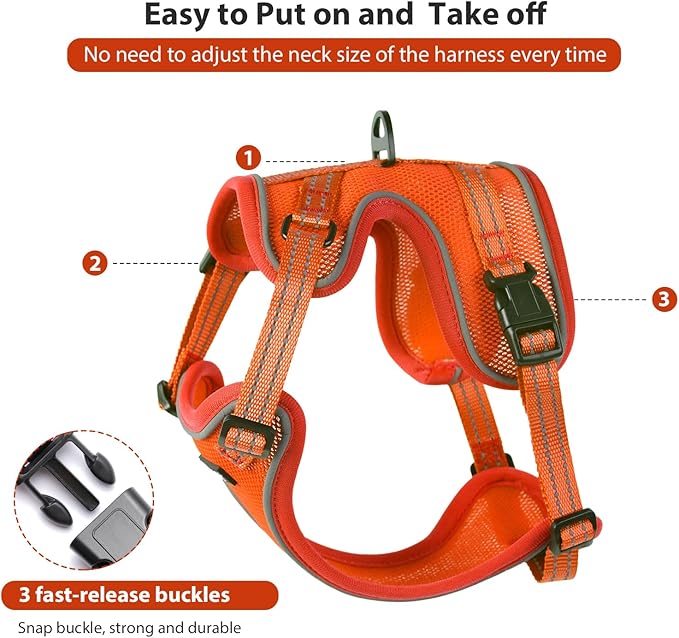 Rttochfy Cat Harness and Leash Set, Adjustable and Reflective Cat Vest, Escape Proof Kitten Harness, Easy to Put on with 3 Buckles for Cats Walking and Traveling (Orange, S)