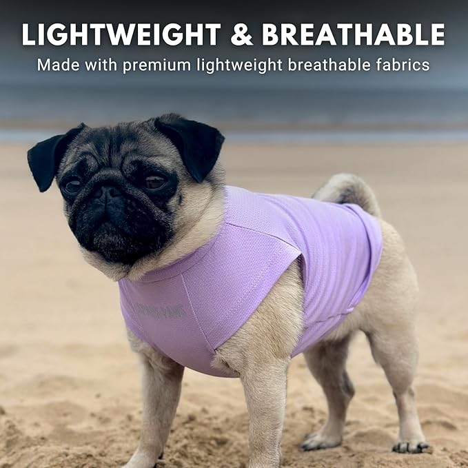 Spark Paws Sunblock Dog T-Shirt, SPF30 Protection, Lightweight Breathable Quick Dry for Dogs with Sensitive Skin - Purple & Peach (Set of 2) - 2XL