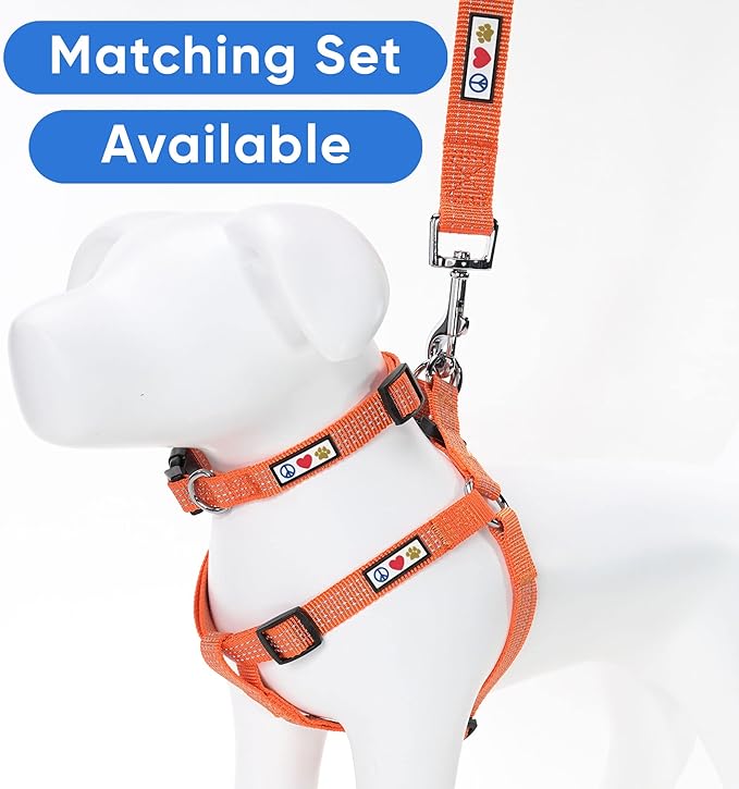 Pawtitas Pet / Puppy 6 - feet Reflective Dog Leash Medium / Large 1 Inch Orange Matching Collar and Harness sold separately.