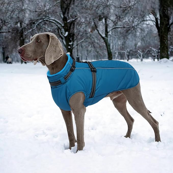 Lelepet Waterproof Dog Jacket with Harness Built in Warm Dog Winter Coat, Windproof Reflective Fleece Jacket, Dogs Coats for Medium Dogs,Thermal Pet Snowsuit for Cold Weather, Schnauzer, Pug, Blue M