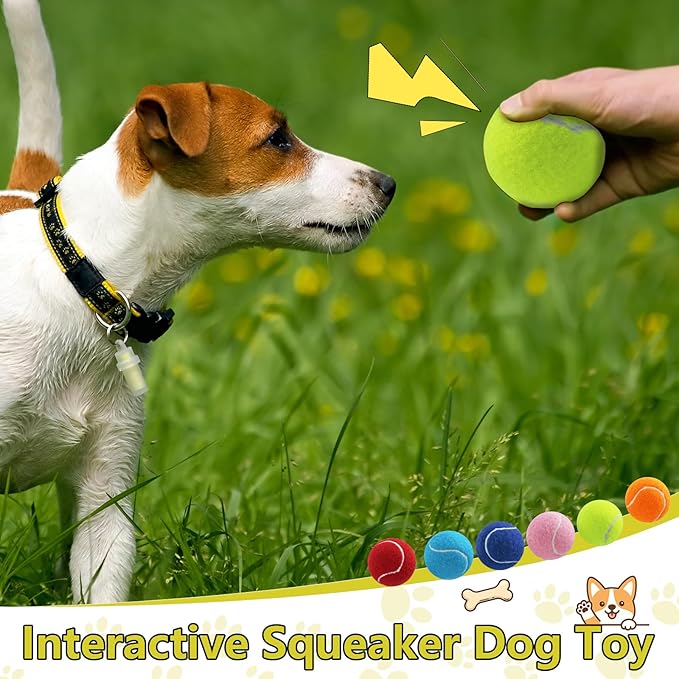 Swingers Squeaky Tennis Balls for Dogs,2.5 inch Training Tennis Balls,Exercise Ball for Pet Dog with Mesh Carry Bag Easy to Transport (Multicolor, 60 Pack)