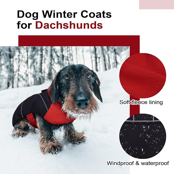Lelepet Dachshund Coat Warm Dog Winter Coat Waterproof Dog Jacket with Fleece Lining, Reflective Outdoor Dachshund Snowsuit with Leash Hole Adjustable Neckline,Coats for Small Medium Dogs,Red, XS