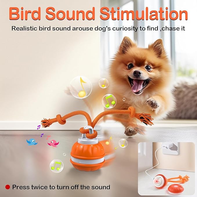 P06 Interactive Dog Toys Dog Balls, Electric Automatic Moving and Rolling Dog Toy with Rope for Small Medium Dogs, Fun Smart Puppy Toy s for Boredom & Training, Dog Toys to Keep Them Busy (Blue)