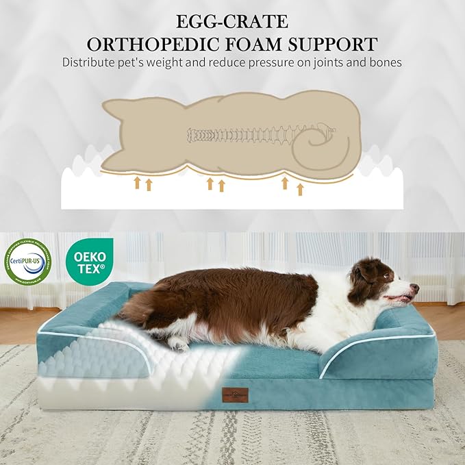 Comfort Expression Orthopedic Dog Bed for Small Dogs 24x16 Inch, Waterproof Supportive Egg Crate Foam Small Pet Bed with Removable Bolster, Dog Couch with Washable Cover & Non-Slip Bottom, Washed Blue