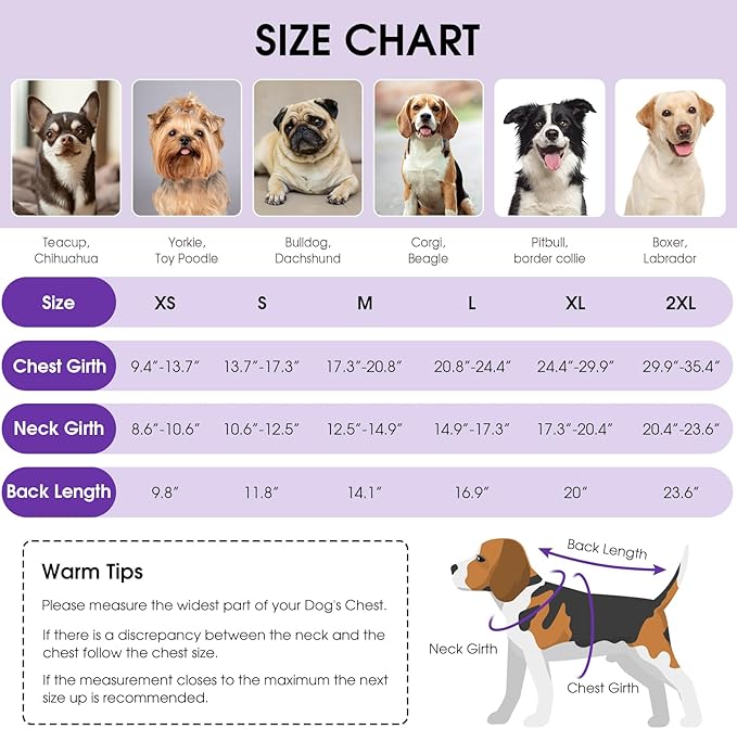 Queenmore Dog Winter Coat, Cold Weather Fleece Jacket for Dogs, Waterproof Reflective Reversible, for Small, Medium and Large Dogs (Purple, XS)