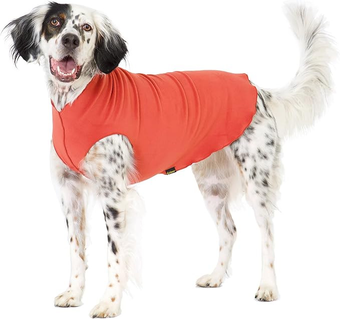 Goldpaw Stretchy Fleece Jacket for Small Dogs - Super Soft, Warm Dog Sweater - Pet Sweater Vest for Fall and Winter - Canine Clothes Made in The USA - Machine Washable - Paprika - Size 20