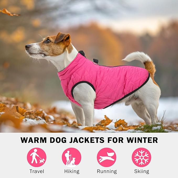 SCENEREAL Dog Winter Coat - Warm Jacket with Built-in Harness for Small & Medium Dogs, Waterproof, Fleece Puffer Vest, Windproof & Snow Clothes for Puppy Pet