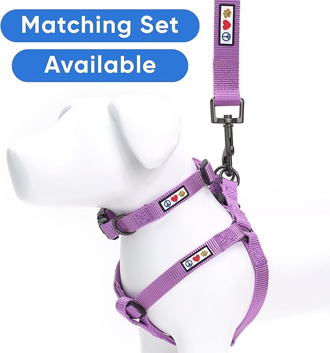 Pawtitas 6 FT Solid Color Leash for Puppy and Dog Leash Dog Training Leash 6 ft or 1.8 m Dog Leash Extra Extra Small Dog Leash can be Used for as a Cat Leash Orchid Dog Leash