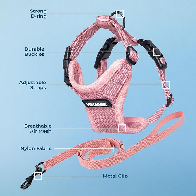 Voyager Step-in Lock Adjustable Cat Harness w. Cat Leash Combo Set with Neoprene Handle 5ft - Supports Small, Medium and Large Breed Cats by Best Pet Supplies - Pink, S (Pack of 2)