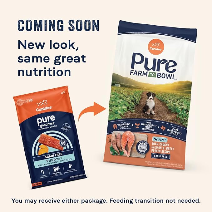 Canidae Pure Grain Free Dry Puppy Food, Real Salmon & Sweet Potato, 22 lbs.
