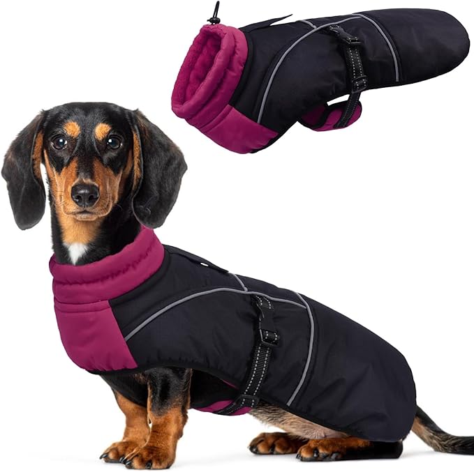 DORA BRIDAL Dachshund Coat, Fleece Lined Dog Winter Coat, Warm Dog Coats with Reflective Strips, Adjustable Waterproof Pet Jacket Clothes, XL