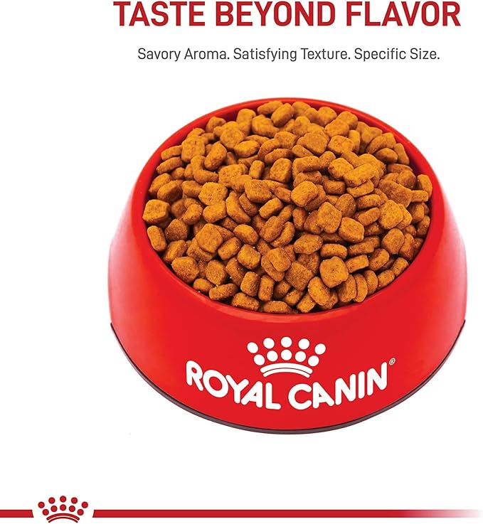 Royal Canin Breed Health Nutrition Poodle Adult Dry Dog Food, 2.5 lb Bag