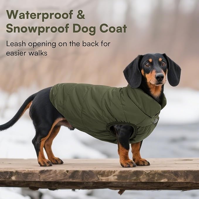 ASENKU Windproof Dog Winter Coat Waterproof Fleece Jacket Cold Weather Pet Apparel for Small Medium Large Dogs (ArmyGreen, XS)