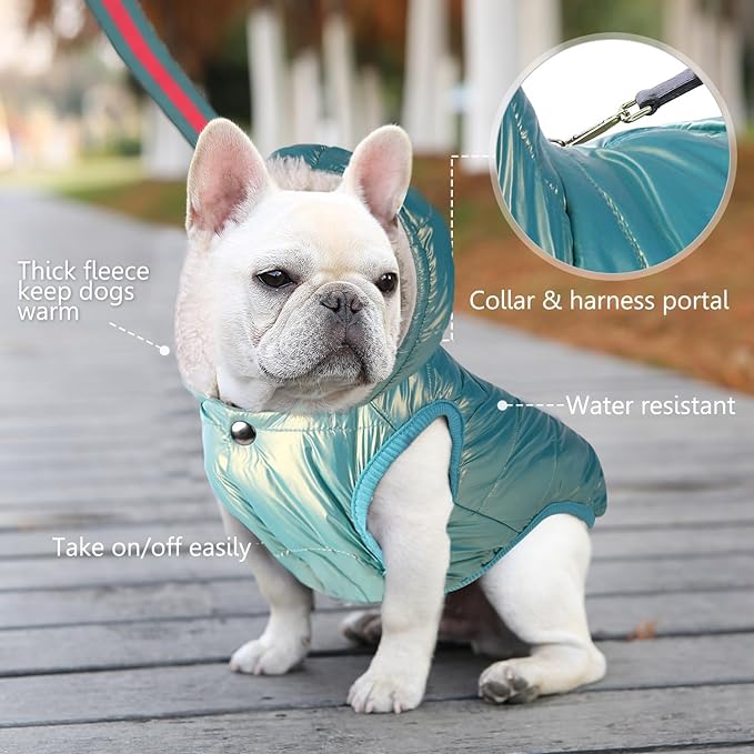 Fleece Hoodie, Windproof Waterproof Dog Coat, Winter Warm Jacket, Cold Weather Pet Apparel Clothes Vest for Small Medium Large Dogs (XL, Mintgreen)
