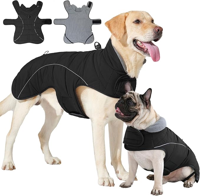 HEYWEAN Dog Winter Coat - Waterproof Windproof Reflective Vest for Medium & Large Breeds Adjustable Warm FleeceLined Jacket with Magic Tape & D-Ring for Leash Cold Weather Apparel (Black, Medium)