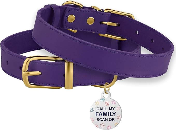 BRONZEDOG Leather Dog Collar with Metal Buckle Durable Basic Pet Collars for Small Medium Large Dogs (11-13 Inch (Pack of 1), Purple & Gold Buckle)