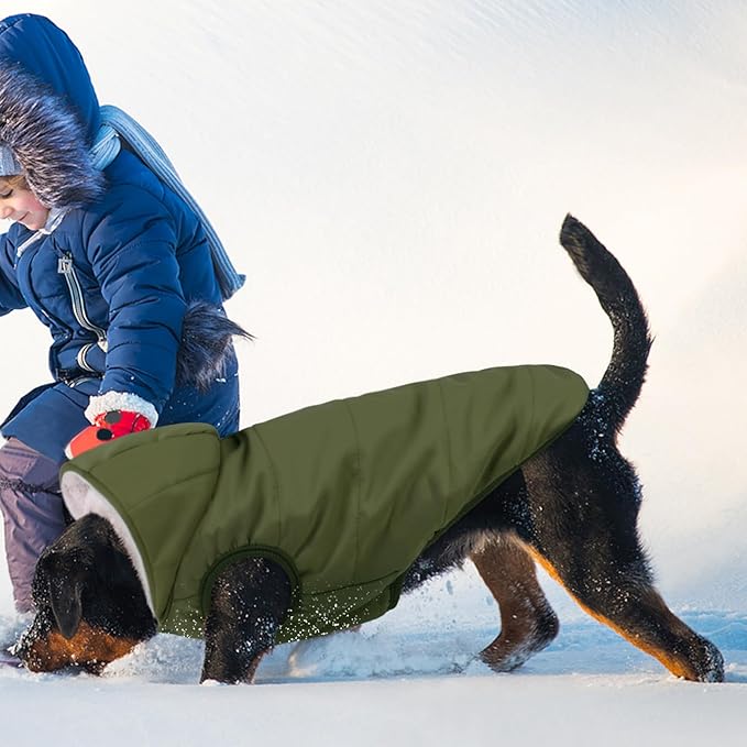 Fleece Hoodie, Windproof Waterproof Coat, Winter Warm Jacket, Cold Weather Pet Apparel Clothes Vest for Small Medium Large Dogs (XXXL, Green)
