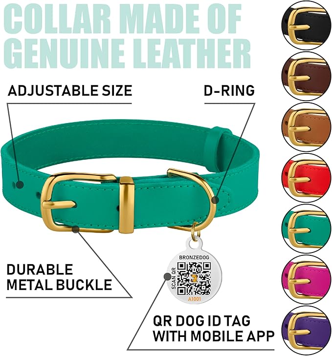 BRONZEDOG Leather Dog Collar with Metal Buckle Durable Basic Pet Collars for Small Medium Large Dogs (14-17 Inch (Pack of 1), Green & Gold Buckle)