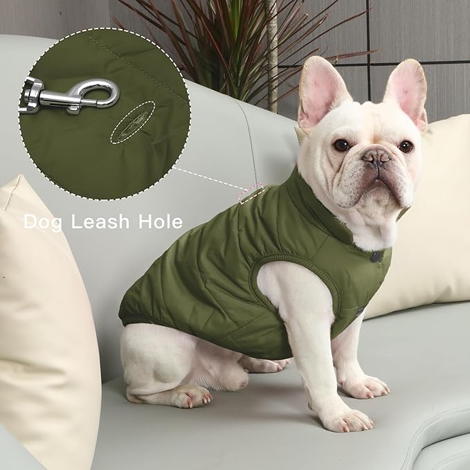 2 Layers Fleece Lined Warm Dog Jacket for Puppy Winter Cold Weather,Soft Windproof Small Dog Coat,Green XS