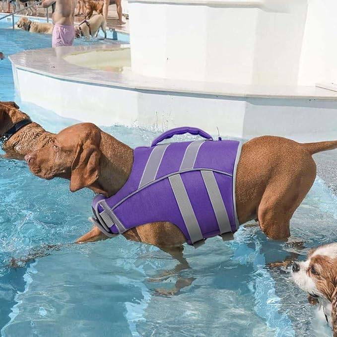 Kuoser Dog Life Jacket with Reflective Stripes - Adjustable High Visibility Vest, Ripstop Lifesaver, Pet Preserver with High Flotation Swimsuit for Small, Medium and Large Dogs