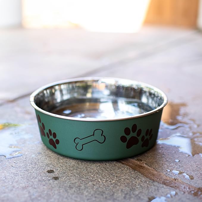 Loving Pets Bella Dog Bowls- Stainless Steel Dog & Cat Bowls - Spill Proof Dog Food Bowl, Cat Bowl, Puppy Essentials & Pet Supplies Great for Home & Travel (Medium 20-35 lbs, Artichoke)