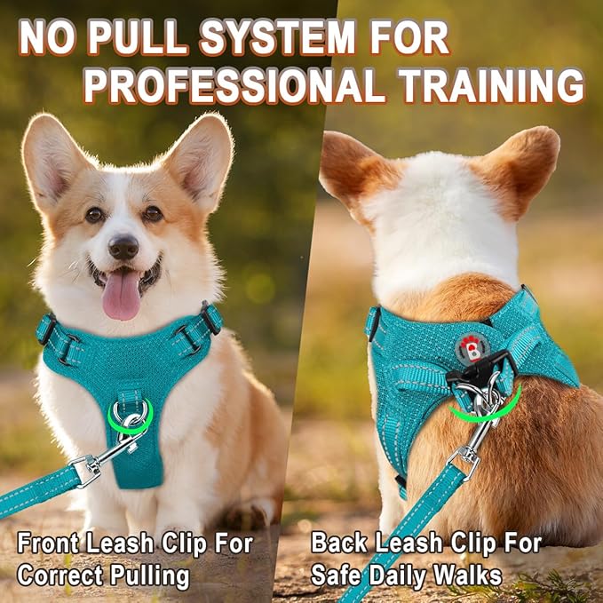 Dog Harness Step in Dog Vest Harness, Reflective Adjustable Puppy No Pull Harness Breathable Soft for Small and Medium Dogs Cats, Ocean Blue, S
