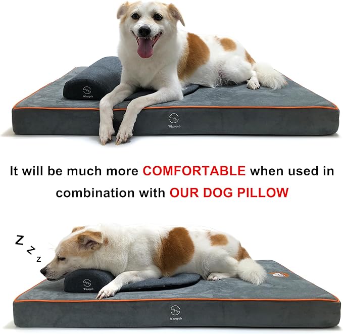 Dog Orthopedic and Crate Beds, Made of Memory and High Resilience Foram, Two-Sided Use, Providing Soft and Relatively Hard Support, with an Extra Inner Waterproof Protector (Gray, Medium)