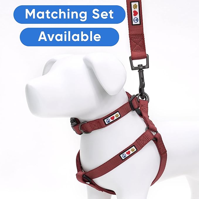 Pawtitas Personalized Dog Leash Embroidered Customize with Your Pet Name & Phone Number Puppy 6 ft Long Small Brown Custom Engraved Name, Customized XS/S (Pack of 1)