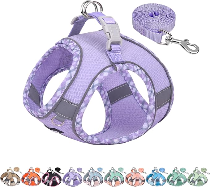 AIITLE Tiny Dog Harness - Lightweight Mesh Step-in Vest for Puppy, Reflective & Escape-Proof Design with High-Stick Magic Tape - Indoor/Outdoor Use for Chihuahua, Maltese, Shih Tzu(Purple, XXXS)