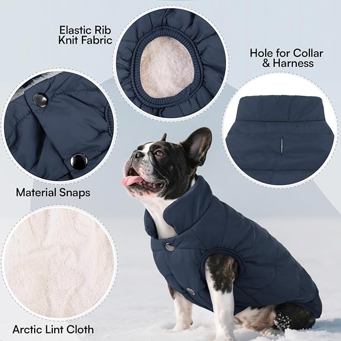 ASENKU Dog Winter Coat - Waterproof Windproof Dog Jacket, Warm Snowproof Doggie Puffer Vest for Cold Weather, Lightweight Snow Coats for Small Medium Large Dogs(M, Blue)