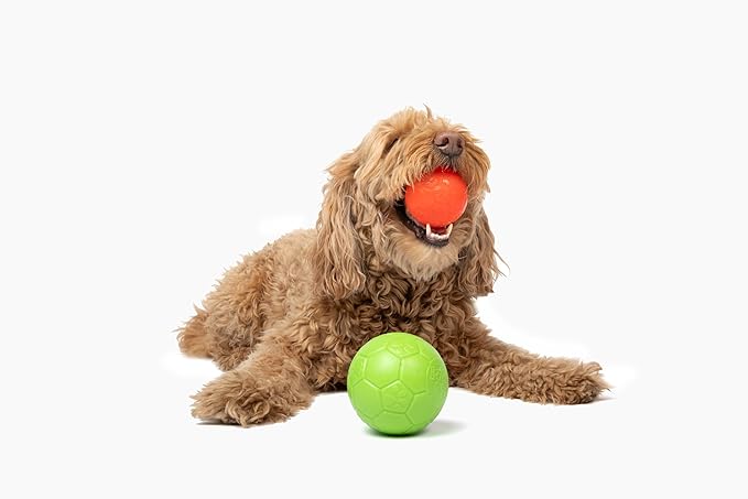Jolly Pets Mini Jolly Soccer Ball; Floating-Bouncing Dog Toy; 4" Green Apple