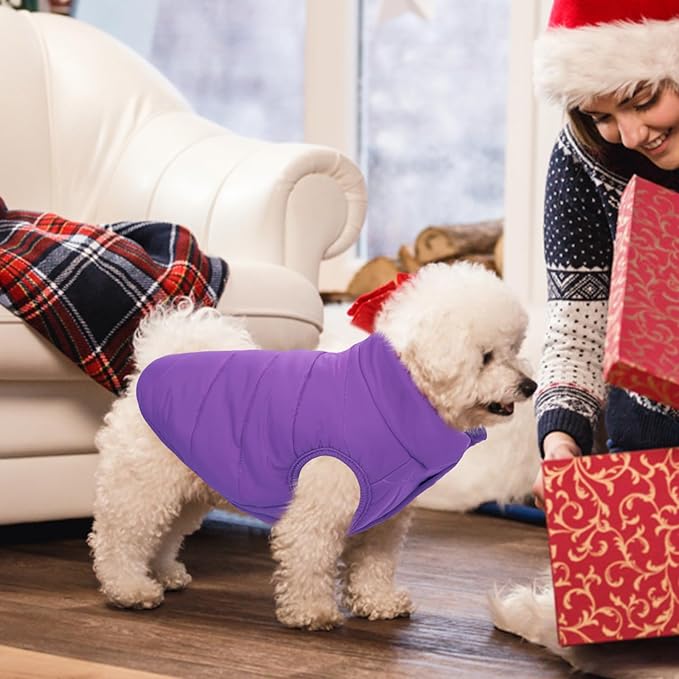 ASENKU Dog Winter Coat - Waterproof Windproof Dog Jacket, Warm Snowproof Doggie Puffer Vest for Cold Weather, Lightweight Snow Coats for Small Medium Large Dogs (Purple, M)