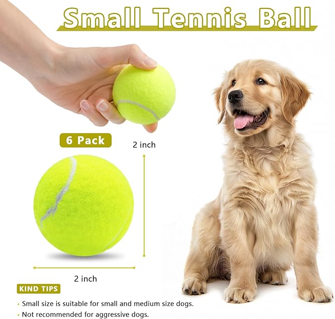 Magicorange 6 Pack Small Tennis Balls, 2 inch Squeaky Tennis Ball for Dogs,Colorful Easy Catching Squeaky Dog Balls with Mesh Bag for Easy Transport (Yellow)