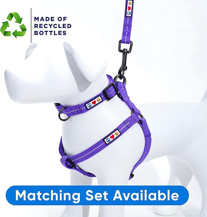 Pawtitas Recycled 6 FT Dog Leash with Reflective Stitched Thread - Purple, 6 ft