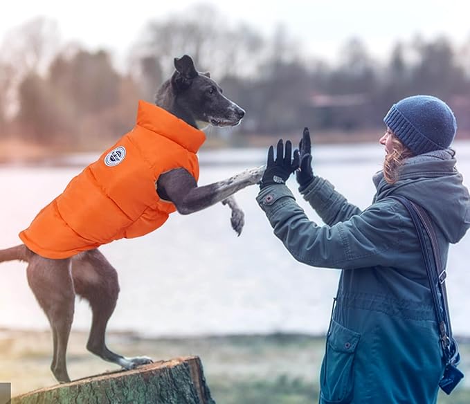 Kuoser Dog Coat Puffer Vest, Warm Dog Jacket Windproof Dogs Cold Weather Coats Pet Snowsuit Padded Vests, Lightweight Puppy Winter Clothes for Small Dogs, Button Design, Easy On/Off, Orange XS