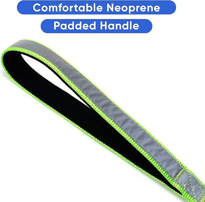 Pawtitas 6 FT Padded Dog Leash with Comfortable Neoprene Padding Handle - Green Lead | Small Reflective Dog Leash with Highly Reflective Band Perfect for Extra Small and Small Dogs and Puppies.