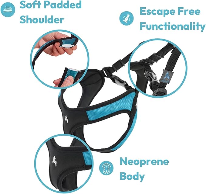 Gooby Escape Free Easy Fit Harness - Black, X-Small - No Pull Step-in Patented Small Dog Harness with Quick Release Buckle - Perfect On The Go No Pull Harness for Small Dogs or Medium Dog Harness