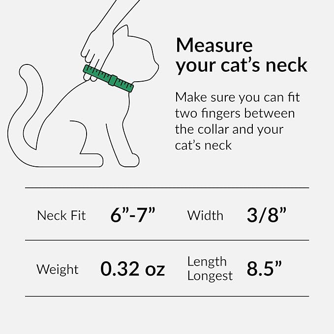 CollarDirect Leather Cat Collar, Cat Safety Collar with Elastic Strap, Kitten Strap with Bell Black Blue Red Orange Lime Green (6-7 Inch, Black)