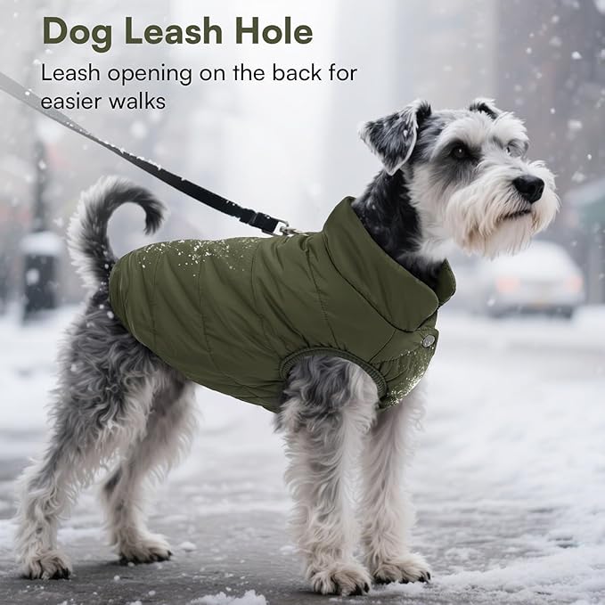 ASENKU Windproof Dog Winter Coat Waterproof Fleece Jacket Cold Weather Pet Apparel for Small Medium Large Dogs (ArmyGreen, XS)