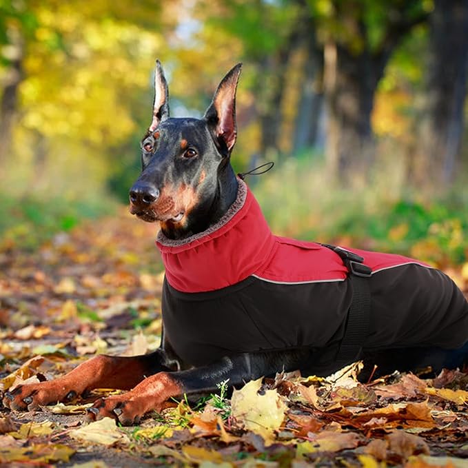 IDOMIK Dog Winter Coat, Reflective Waterproof Dog Jacket for Cold Weather, Warm Pet Coats for Small Medium Large Dogs, High Collar Doggy Fleece Snow Jacket, Winter Vest with Adjustable Buckle,S