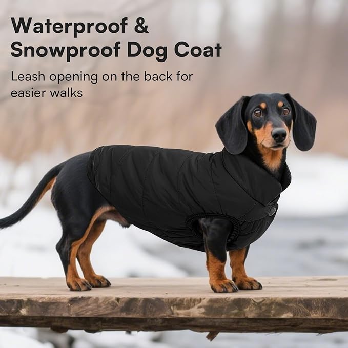 ASENKU Windproof Dog Winter Coat Waterproof Fleece Jacket Cold Weather Pet Apparel for Small Medium Large Dogs (Black, L)