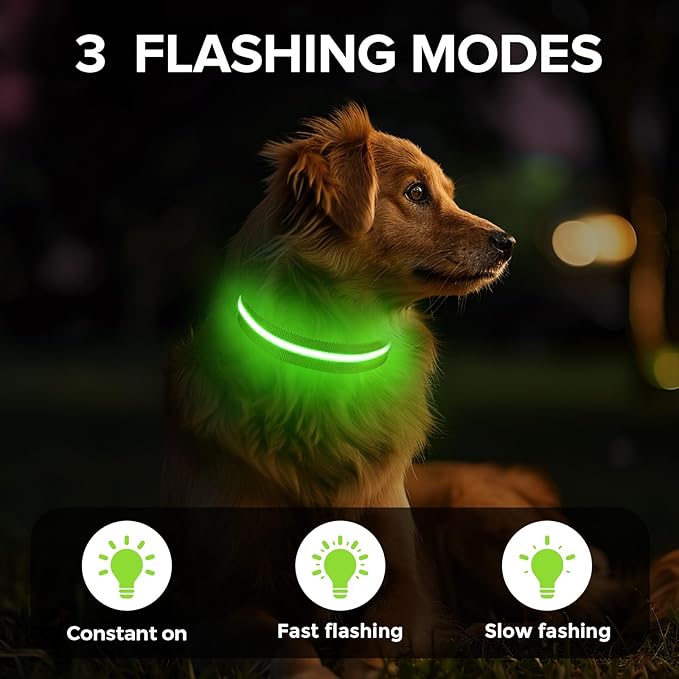 Light Up Dog Collar, Adjustable USB Rechargeable Glow in Dark Dog Collar ，Waterproof Dog Collars for Medium Dogs (Green, Medium)