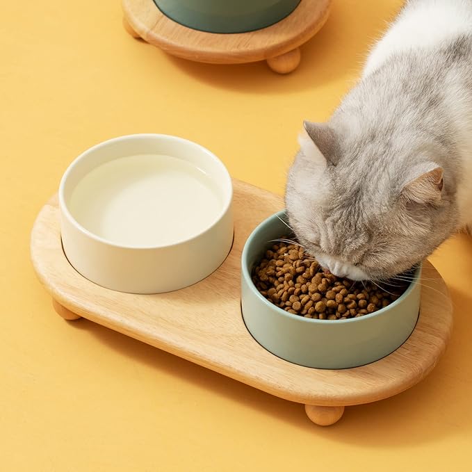 Ceramic Elevated Dog Bowls, Food and Water Bowls for Dogs, Puppy, Raised Dog Dish, Pet Feeder(6inch, 2 x Beige + Stand)