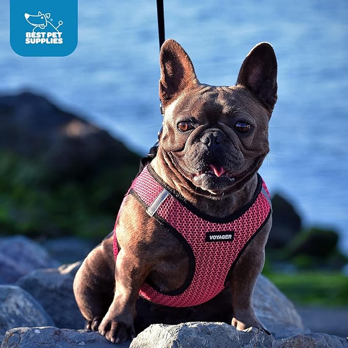 Best Pet Supplies Voyager Step-in Air Harness - All Weather Mesh, Reflective, No Pull Harness for Dogs, Cats - Secure with Hook & Loop Fastener, Buckle, Double D-Rings - Tone, S