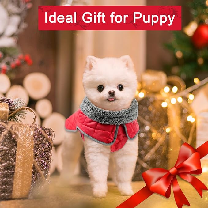 Fragralley Dog Winter Coat, Waterproof Windproof Reflective Fleece Jacket with Harness Hole, Warm Snow Vest for Small Medium Large Dogs, Ideal Gifts