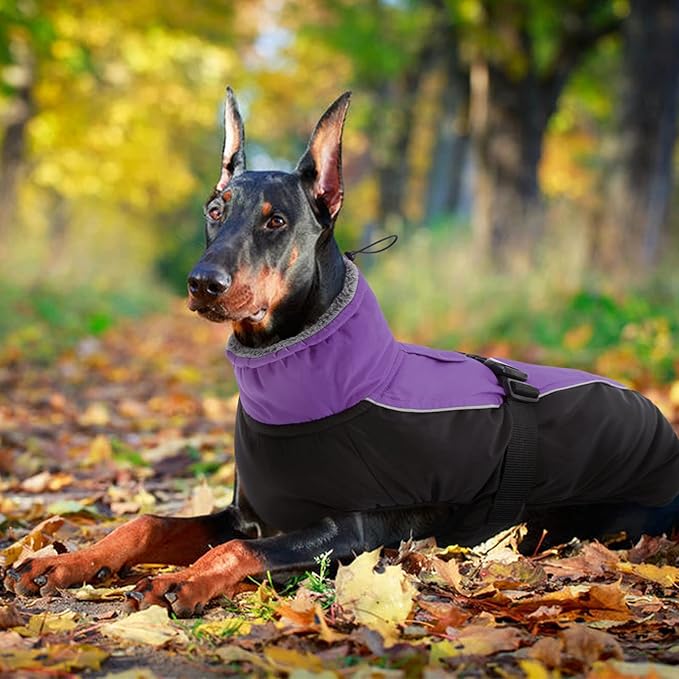 IDOMIK Dog Winter Coat, Reflective Waterproof Dog Jacket for Cold Weather, Warm Pet Coats for Small Medium Large Dogs, High Collar Doggy Fleece Snow Jacket, Winter Vest with Adjustable Buckle,S