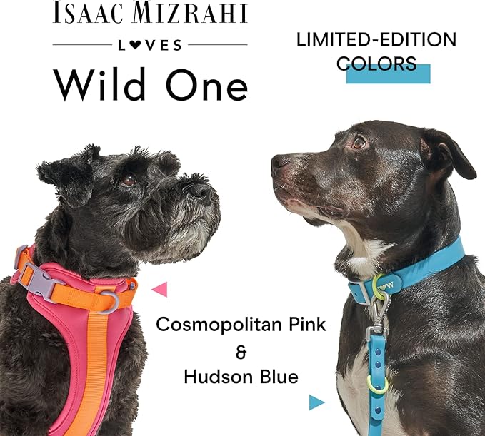 Wild One Dog Collar, Easy-Clean, All Weather Flex-Poly Strap with Metal, Durable, Dirt and Odor Resistant (Hudson, XL)