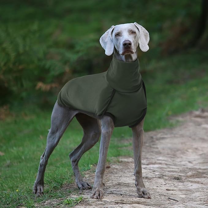 ROZKITCH Dog Winter Coat Soft Pullover Pajamas, Pet Windproof Warm Cold Weather Jacket Vest Cozy Jumpsuit Apparel Outfit Clothes for Walking Hiking Travel Sleep Green 3XL