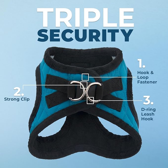 Best Pet Supplies - All Weather Mesh / Plush, Reflective, No Pull Harness for Small, Medium Dogs, Cats - Secure with Hook & Loop Fastener, Buckle, Double D-Rings - Turquoise Plush, L