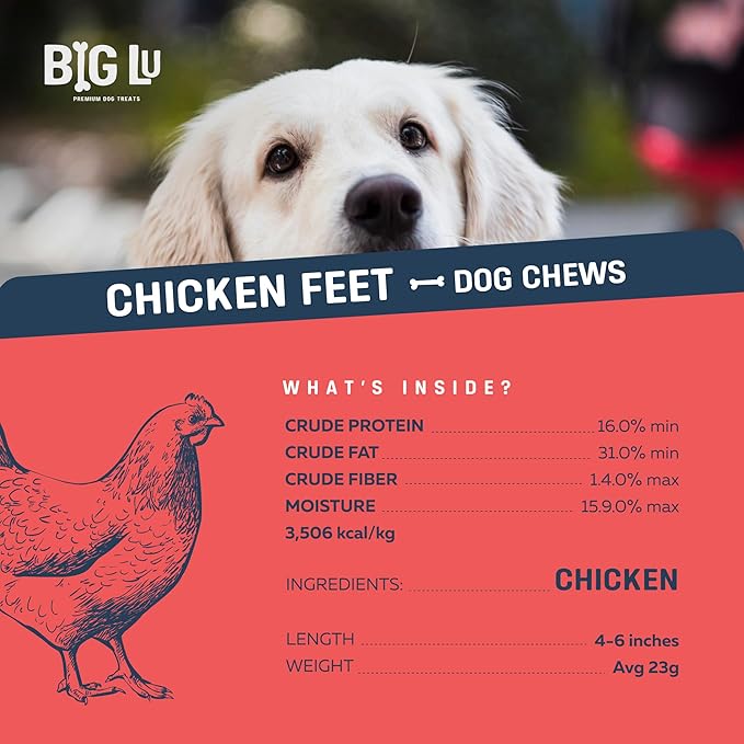 Big Lu – Nail-Free Chicken Feet Dog Chews, 100% Natural Single-Ingredient Treats, Rawhide-Free, Long-Lasting, Rich in Glucosamine and Chondroitin for Joint Health (100 Count)